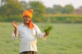 Indian farmer at the chickpea field, farmer showing chickpea plant
