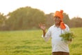 Indian farmer at the chickpea field, farmer showing chickpea plant