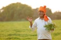 Indian farmer at the chickpea field, farmer showing chickpea plant