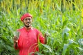 indian farmer counting and showing indian rupees at sorghum field Royalty Free Stock Photo