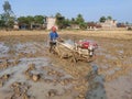 Indian farmer cultivating a Paddy field with a power tiller.