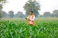 Indian farmer at green corn field