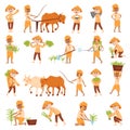 Indian Farmer Picking Rice from Fields Big Vector Set