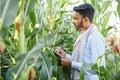 Indian farmer using tablet at agriculture field. An agronomist inspects the corn crop. Royalty Free Stock Photo