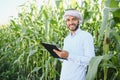 Indian farmer using tablet at agriculture field. An agronomist inspects the corn crop. Royalty Free Stock Photo