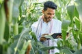 Indian farmer using tablet at agriculture field. An agronomist inspects the corn crop. Royalty Free Stock Photo