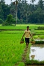 Indian farmer