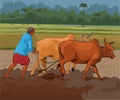 Indian farmer working in village agriculture