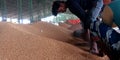 An indian farmers cleaning dust from wheat seeds at food market in india oct 2019