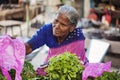 Indian female seller at public vegetable market