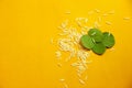 Indian Festival Dussehra , green leaf and rice on yellow background