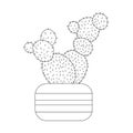 Indian fig cactus or Opuntia ficus-indica in pot, flat doodle raster outline