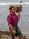 Indian fisherman carrying freshly catch fish at Malvan beach at morning
