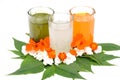 The indian flag green mint, lychee, orenge, juice with flowers and leaves for the memorial day and veteran`s day