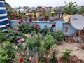 INDIAN FLOWER GARDEN ON ROOF