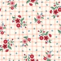 Indian Chintz Flowers and Plaid Vector Seamless Pattern