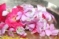 Indian flowers for puja in marriage