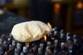 Indian Food, Chapathi or Phulka roti on grill Royalty Free Stock Photo
