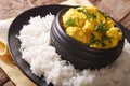 Indian food is chicken Korma with a side dish of basmati rice cl