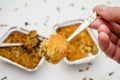 Indian food, fruit pies, subhadra and mithai, in foil plates on white background, spices, piece of pie on fork in hand