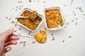 Indian food, fruit pies, subhadra and mithai, in foil plates on a white background, piece of pie on fork in hand