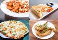 Indian food set pasta. paneer pizza, chapati wrap and crispy fish batter