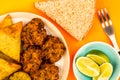 Indian Food Style Snacks Vegetarian Tikka Vegetarian Samosa Onion Bhaji With Chapati Flat Bread