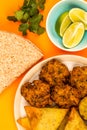 Indian Food Style Snacks Vegetarian Tikka Vegetarian Samosa Onion Bhaji With Chapati Flat Bread