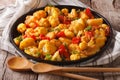 Indian food: vegetarian Gobi Aloo close-up on the table. Horizon