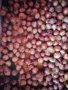 Indian Fresh Red Indian Onions, Pyaz Royalty Free Stock Photo