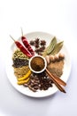 Indian Garam Masala powder / Indian spice mix Royalty Free Stock Photo