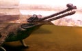 Indian gharial Royalty Free Stock Photo