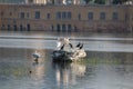 Indian Giant Pelican at Bandhavgarh National Park solo pic