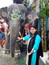 Indian girl is giving money to elephants in front of lord Ganesh Temple