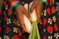 An Indian girl is holding a white radish. Harvesting on an organic farm in India. Modern village