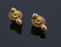 Indian style design Gold earrings worn during weddings