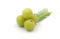 Indian gooseberry fruits or Amla ( phyllanthus emblica ) isolated on white background.