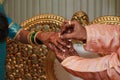 indian groom putting ring brides hand Royalty Free Stock Photo