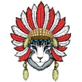 Face of domestic cat. Portrait of animal. Cute kitty, kitten. Indian headdress with feathers. Boho style.