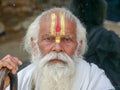 Indian Hindu religion holy old man full white beard on face close up, sandalwood tilak trishul shape paste on forehead