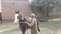 An indian horserider whith his horde