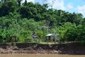 Indian houses in the Amazon jungle, Peru Royalty Free Stock Photo