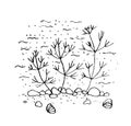 Indian ink drawing of sea aquarium bottom with sea plants, stones,sand and sea shells underwater. Royalty Free Stock Photo