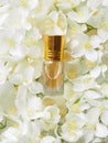 Indian Jasmine Attar oil. Natural Jasmine flower oil for relaxation and bliss. Royalty Free Stock Photo