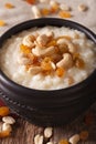 Indian kheer sweet rice pudding with nuts macro. vertical