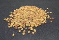 Indian kitchen, food ingredients fenugreek seeds menthi