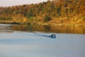 Indian Lake in Panna National Reserve Forest