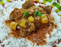 Indian lamb curry Royalty Free Stock Photo