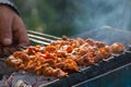 Indian lamb tikka Royalty Free Stock Photo