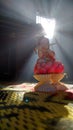 Indian lord SriKrishna captured on a beautiful sunlight